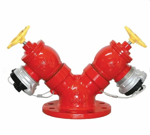 Hình ảnh minh họa (1)