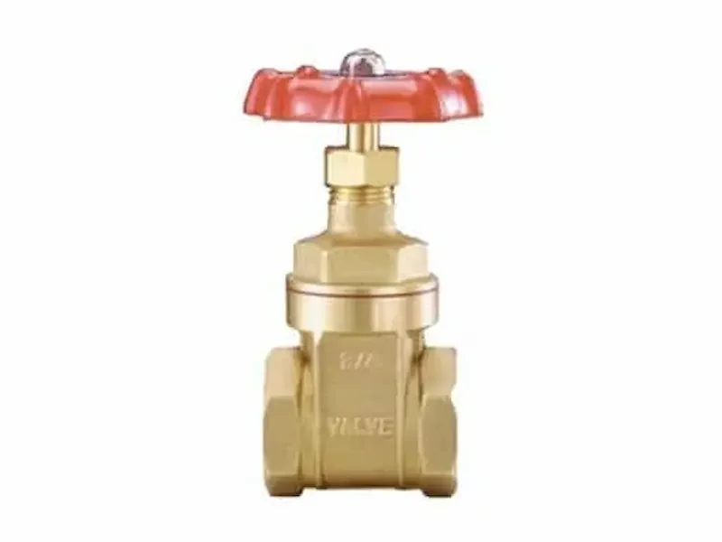 Hình ảnh minh họa (2)