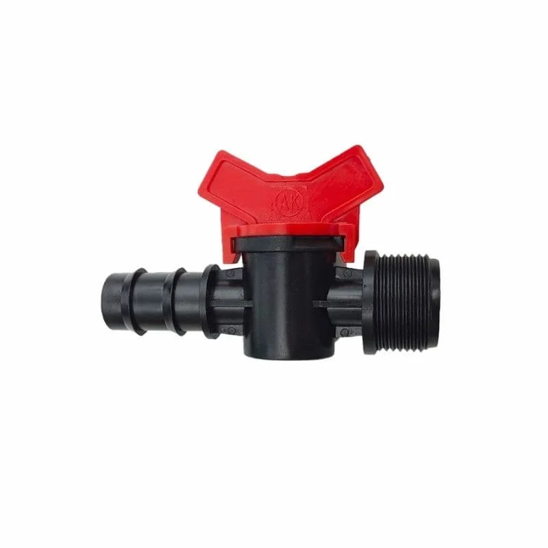 Hình ảnh minh họa (2)