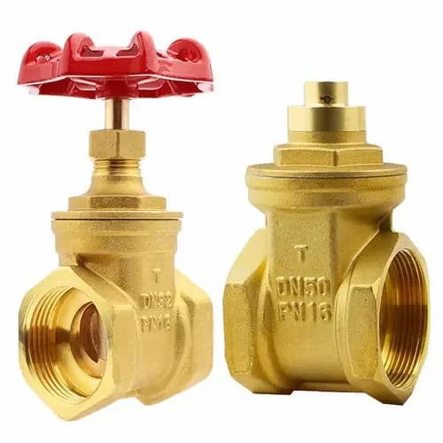 Hình ảnh minh họa (2)