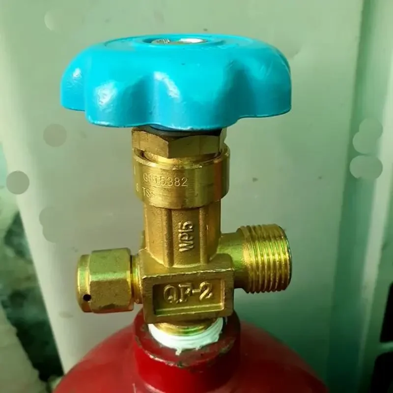 Hình ảnh minh họa (1)