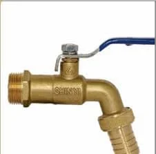 Hình ảnh minh họa (1)