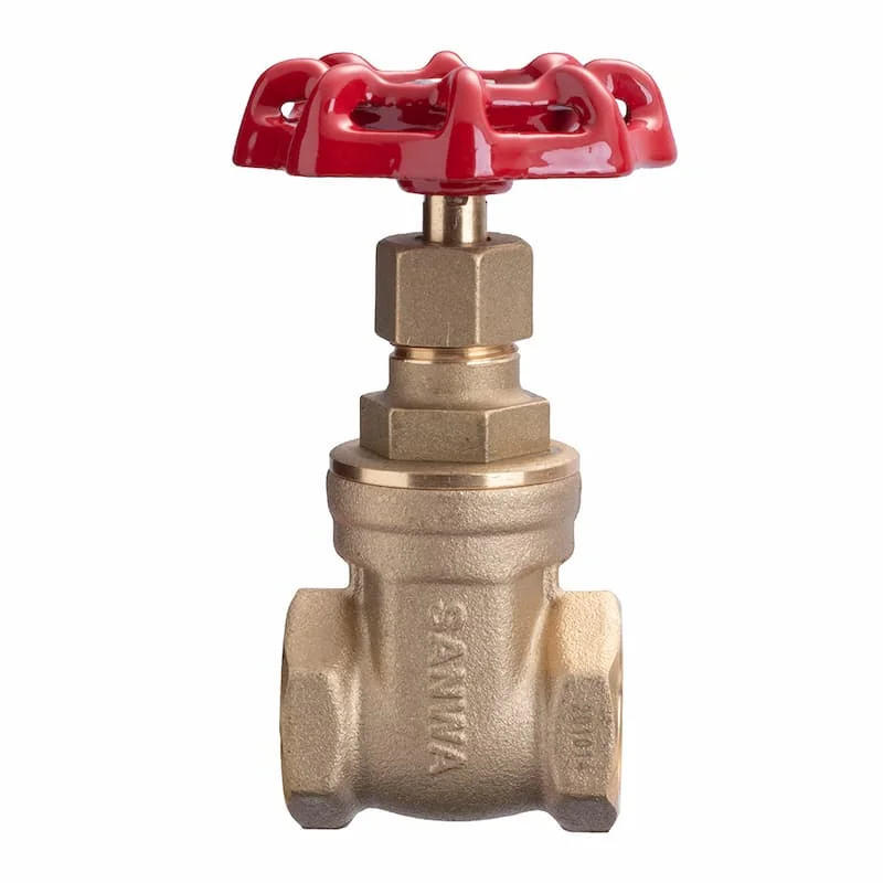 Hình ảnh minh họa (2)