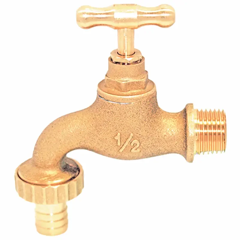 Hình ảnh minh họa (2)