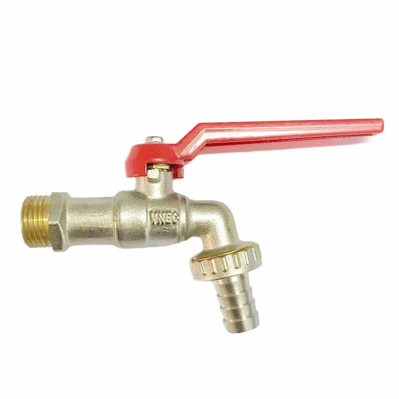 Hình ảnh minh họa (2)