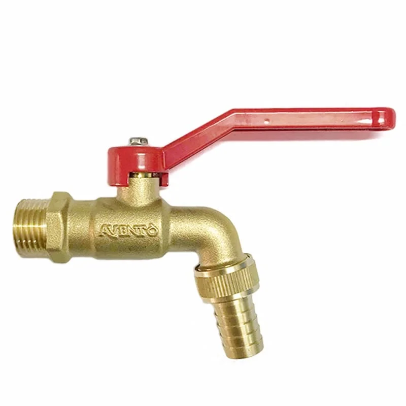 Hình ảnh minh họa (1)