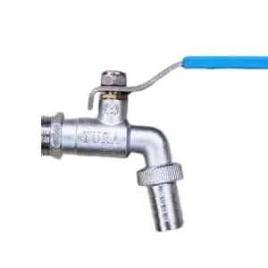 Hình ảnh minh họa (1)