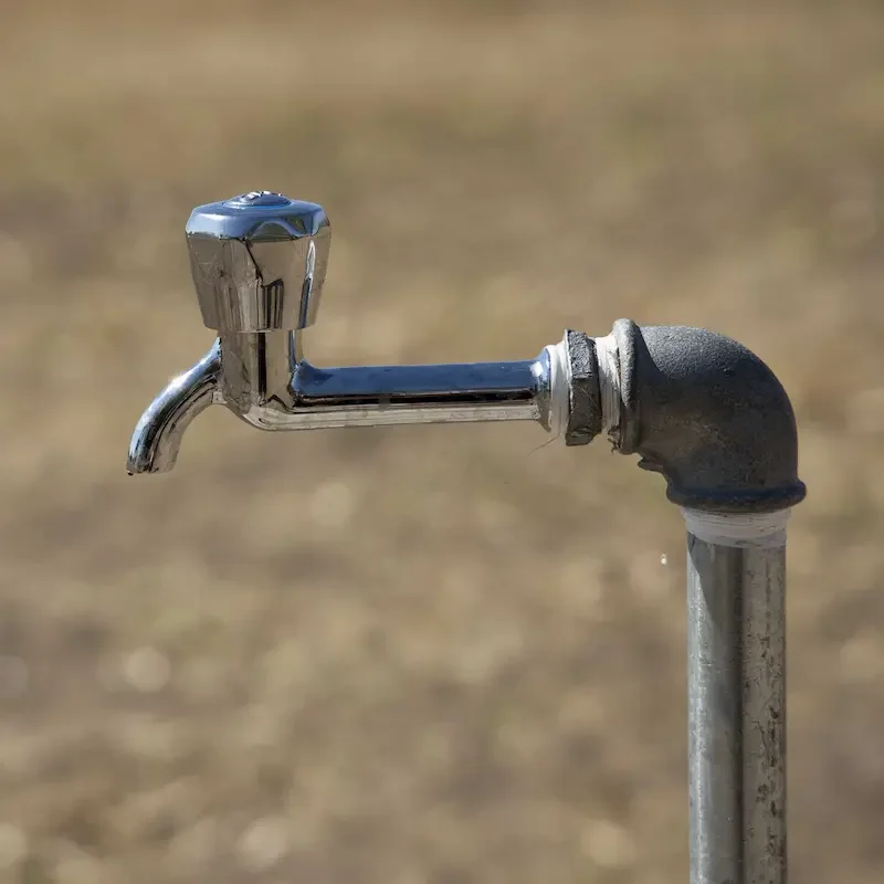 Hình ảnh minh họa (1)