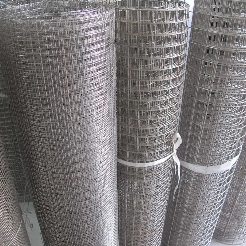 Hình ảnh minh họa (2)